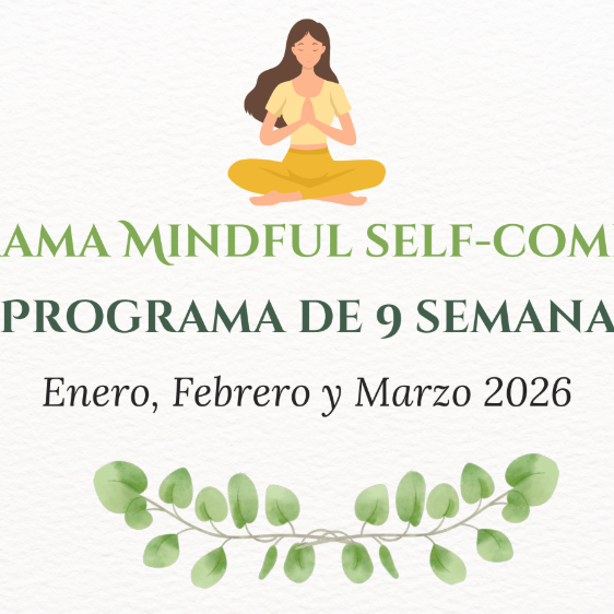 msc enero, febrero y marzo